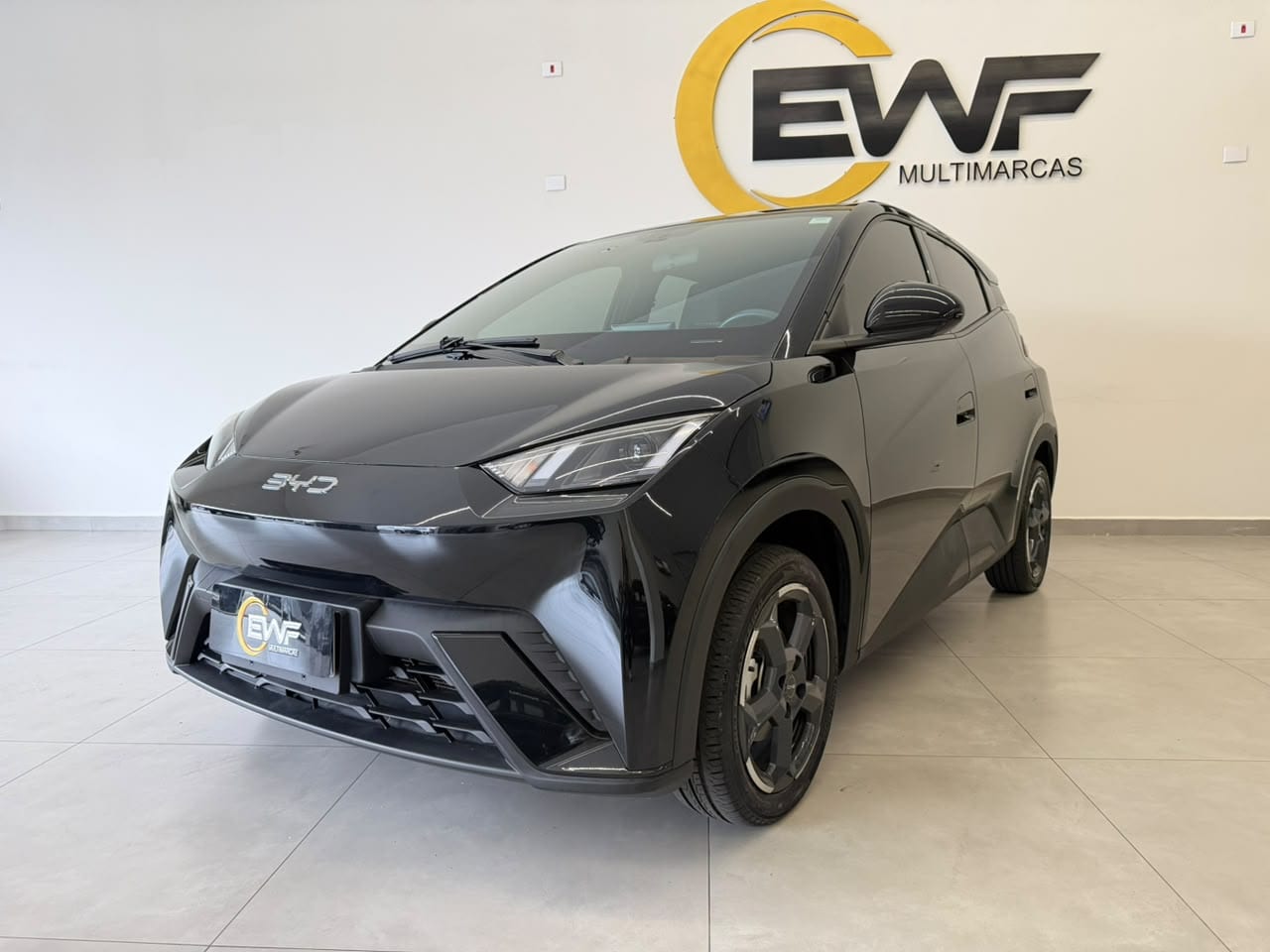 BYD Dolphin